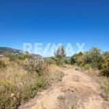  For Sale - (€ 0 / m2), Agricultural 4500 m2 Skiathos 7504930 thumb6