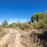  For Sale - (€ 0 / m2), Agricultural 4500 m2 Skiathos 7504930 thumb5