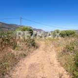  For Sale - (€ 0 / m2), Agricultural 4500 m2 Skiathos 7504930 thumb9