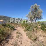 For Sale - (€ 0 / m2), Agricultural 4500 m2 Skiathos 7504930 thumb8