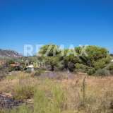  For Sale - (€ 0 / m2), Agricultural 4500 m2 Skiathos 7504930 thumb0
