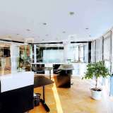  Luxury office for rent in Hadji Dimitar quarter Sofia city 8104964 thumb2