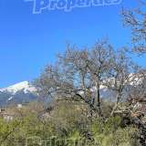  Spacious house with a garden, garage and mountain view in the center of Bansko Bansko city 7740146 thumb29