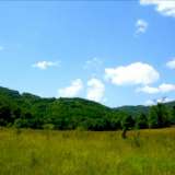  Большой земельный участок с красивой панорамой в живописном и тихом селе в 20 минутах к югу от Велико Тырново Велико Тырново 5240603 thumb0