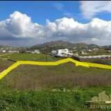  (For Rent) Land Other properties || Cyclades/Mykonos - 2.000 Sq.m, 1.000€ Mykonos 8040651 thumb1