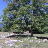   Plot of land for sale in the town of Bansko at an attractive price!  Bansko city 5240665 thumb6