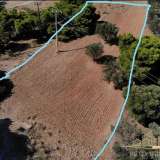  (For Sale) Land Plot || East Attica/Keratea - 2.500 Sq.m, 75.000€ Keratea 8040676 thumb1