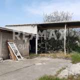  For Sale - (€ 0 / m2), Industrial Site 4040 m2 Volos 8140812 thumb7