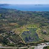  For Sale - (€ 0 / m2), Agricultural 66451 m2 Kranidi 8140818 thumb3