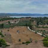  For Sale - (€ 0 / m2), Agricultural 13000 m2 Kranidi 7840980 thumb9