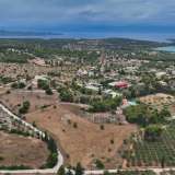  For Sale - (€ 0 / m2), Agricultural 13000 m2 Kranidi 7840980 thumb7