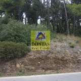  (For Sale) Land Plot || East Attica/Dionysos - 2.200 Sq.m, 550.000€ Dionysos 7841227 thumb2