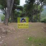  (For Sale) Land Plot || East Attica/Dionysos - 2.200 Sq.m, 550.000€ Dionysos 7841227 thumb3