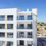  Appartements Élite Dans une Résidence Avec Piscine à La Zenia Alicante 8141808 thumb0