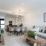 Appartements Élite Dans une Résidence Avec Piscine à La Zenia Alicante 8141808 thumb11