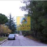  (For Sale) Land Plot || East Attica/Dionysos - 830 Sq.m, 280.000€ Dionysos 8041858 thumb4