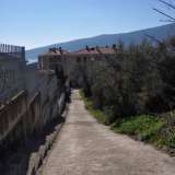  Кондо отель “Старые маслины”  Herceg Novi 4642233 thumb9
