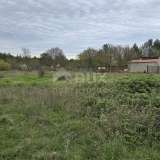  ISTRIA, MARČANA - Two plots of land with permits for two houses with a swimming pool Marčana 8142711 thumb3