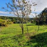  ISTRIA, GRAČIŠĆE - Land complex in a prime location with a beautiful view  Gracisce 8142726 thumb22