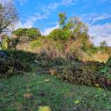  ISTRIA, GRAČIŠĆE - Property 6880 m2 with a stone house in a quiet village on a hill Gracisce 8142728 thumb23