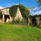  ISTRIA, GRAČIŠĆE - Property 6880 m2 with a stone house in a quiet village on a hill Gracisce 8142728 thumb4