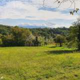  ISTRIEN, GRAČIŠĆE - Grundstück 6880 m2 mit einem Steinhaus in einem ruhigen Dorf auf einem Hügel Gracisce 8142728 thumb20