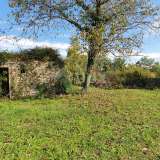  ISTRIEN, GRAČIŠĆE - Grundstück 6880 m2 mit einem Steinhaus in einem ruhigen Dorf auf einem Hügel Gracisce 8142728 thumb5