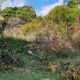 ISTRIA, GRAČIŠĆE - Property 6880 m2 with a stone house in a quiet village on a hill Gracisce 8142728 thumb21