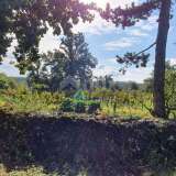  ISTRIA, GRAČIŠĆE - Property 6880 m2 with a stone house in a quiet village on a hill Gracisce 8142728 thumb6