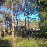  Located in the heart of a renowned private domain, Redon Pinchinade sector, building plot of 7250m2, gently sloping, beautifully wooded. Possibility of building with 840 m2 ground area, on two levels. Ultimate opportunity.  Contact us for more details. Mouans-sartoux 1642880 thumb0