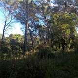  Located in the heart of a renowned private domain, Redon Pinchinade sector, building plot of 7250m2, gently sloping, beautifully wooded. Possibility of building with 840 m2 ground area, on two levels. Ultimate opportunity.  Contact us for more details. Mouans-sartoux 1642880 thumb1