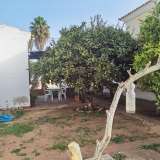   Luz de Tavira (Východ Algarve) 7543149 thumb17