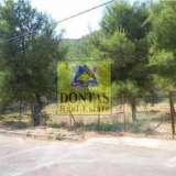  (For Sale) Land Plot || East Attica/Dionysos - 800 Sq.m, 280.000€ Dionysos 8043363 thumb0