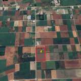  For Sale - (€ 0 / m2), Agricultural 17814 m2 Serres 8143683 thumb3