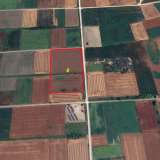  For Sale - (€ 0 / m2), Agricultural 17814 m2 Serres 8143683 thumb5