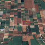  For Sale - (€ 0 / m2), Agricultural 17814 m2 Serres 8143683 thumb2
