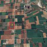  For Sale - (€ 0 / m2), Agricultural 17814 m2 Serres 8143683 thumb4
