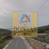  (For Sale) Land Agricultural Land  || Cyclades/Paros - 5.500 Sq.m, 360.000€ Paros 8144100 thumb0