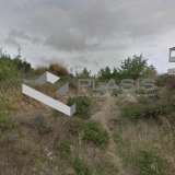  (For Sale) Land Plot || East Attica/Pikermi - 3.060 Sq.m, 650.000€ Pikermi 7844211 thumb3