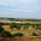   Santa Barbara de Nexe (Doğu Algarve) 8044040 thumb1