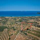  For Sale - (€ 0 / m2), Agricultural 25000 m2 Kranidi 7844044 thumb1