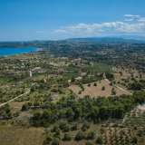  For Sale - (€ 0 / m2), Agricultural 14000 m2 Kranidi 7844053 thumb7