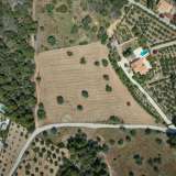  For Sale - (€ 0 / m2), Agricultural 14000 m2 Kranidi 7844053 thumb2