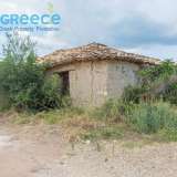  For SALE perfect and buildable land, in Logga, Messinia, with a stone building of 60sq.m. It consists of 2 plots, approx. 6.5 acres. Each can build 250 sq. m. for residence and 1.300 sq. m. for tourist exploitation. It has 200 productive olive trees and c Epia 8144054 thumb13
