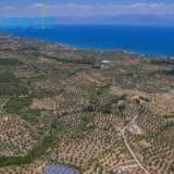  For SALE perfect and buildable land, in Logga, Messinia, with a stone building of 60sq.m. It consists of 2 plots, approx. 6.5 acres. Each can build 250 sq. m. for residence and 1.300 sq. m. for tourist exploitation. It has 200 productive olive trees and c Epia 8144054 thumb5