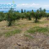  For SALE perfect and buildable land, in Logga, Messinia, with a stone building of 60sq.m. It consists of 2 plots, approx. 6.5 acres. Each can build 250 sq. m. for residence and 1.300 sq. m. for tourist exploitation. It has 200 productive olive trees and c Epia 8144054 thumb19