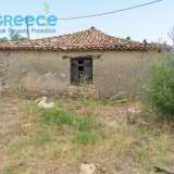  For SALE perfect and buildable land, in Logga, Messinia, with a stone building of 60sq.m. It consists of 2 plots, approx. 6.5 acres. Each can build 250 sq. m. for residence and 1.300 sq. m. for tourist exploitation. It has 200 productive olive trees and c Epia 8144054 thumb12