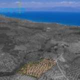  For SALE perfect and buildable land, in Logga, Messinia, with a stone building of 60sq.m. It consists of 2 plots, approx. 6.5 acres. Each can build 250 sq. m. for residence and 1.300 sq. m. for tourist exploitation. It has 200 productive olive trees and c Epia 8144054 thumb4