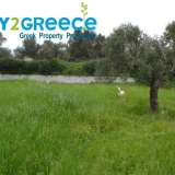  For sale a plot of total area of 993sqm with a frontage of 19 meters, within the city plan, even, buildable, with panoramic views of Oxilithos â€“ Kymi Evia (P.C. 34011), with the possibility of building up to 400sqm and coverage up to 200sqm per flo Kimi 8144060 thumb0