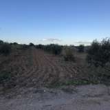  (For Sale) Land Agricultural Land  || East Attica/Paiania - 2.500 Sq.m, 25.000€ Athens 6544674 thumb1